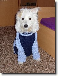 P��prava na zimu