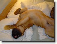 je�t� se chvili�ku prot�hnu jooo?