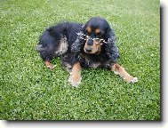 U� na v�s vid�m !!