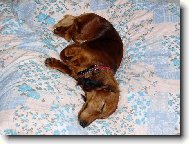 Pohoda kl�dek a leh�ro