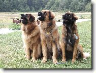 Rodinka z Miloti�ek