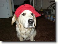 To jsem ale fe��k....