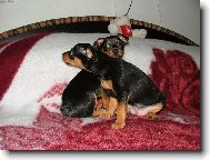 Nejlep�� k�mo�ky