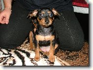 J� u� se fotit nebudu !!!