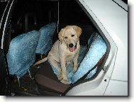 No nejsem roztomil�?