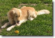 To m� za ty gumov� bodliny!