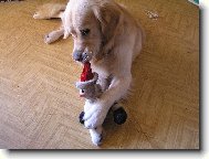 V�ak j� ti tu n�dheru nakonec sund�m!