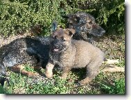 Ernika Polodr s m�mou Yaga Venu�ina soka