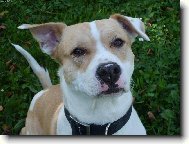 Copak to bude asi dobr�ho??