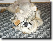 Kdo si hraje nezlob�