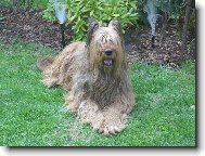 Star� d�ma odpo��v�