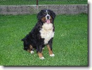 Tak to je odepoledn� siesta