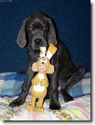 J� a m�j nejlep�� kamar�d