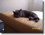 Na�e mal� princezna