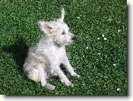 S v�trem o z�vod