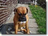 To slun��ko tak kr�sn� h�eje.