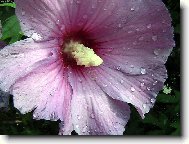 Po de�ti.Ke� Ibi�ku.