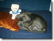 V�e m�m pod kontrolou