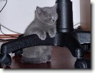 usnou se d� jakkoliv