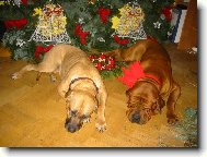 Bl�� se v�noce