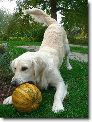 Eminka s d�n� :-)