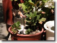 Co na m� tak kouk�??