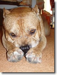 p�jde� si u� se mnou hr�t???