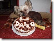 Miluji tvarohov� dort