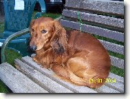 Pohoda,kl�dek, leh�ro......