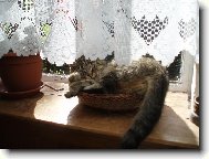 n� mazl��ek...