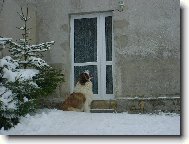 CHYT�N� SN�HOV�CH VLO�EK