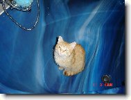 chci se vykoupat pros�m........