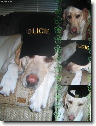 Megie al� policajt..