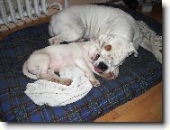 Jeden pel�ek sta��...