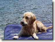 To je moje leh�tko.