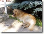 ...no ale byla to d�ina