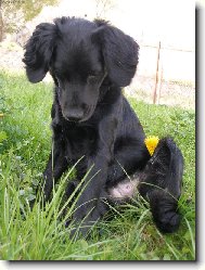 odpo�inek v zahrad�