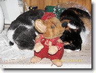 JOOO ,kdy� holky sp�,n�kdo je hl�dat mus�...