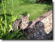 bez slune�n�ch br�l�....