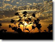 ve�ern� n�lada