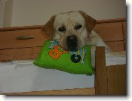 To �ekani m� unavuje....