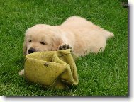 �t�n� zlat�ho retr�vra