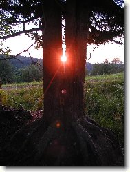 Dvoj�ata z Orlick�ch hor