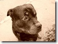 Kouk�m, kouk�m...