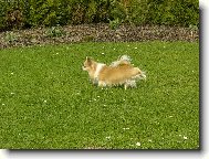 Amigo n� mil��ek