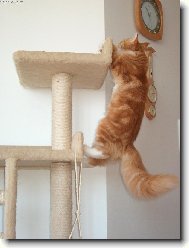 Kaskad�r Franti�ek