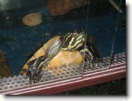 J� budu venku prvn�!