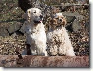 co se to tam d�je?