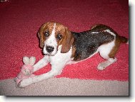 M�j nejlep�� kamar�d !!