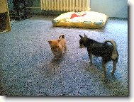 Tak kam t� m�m kousnout